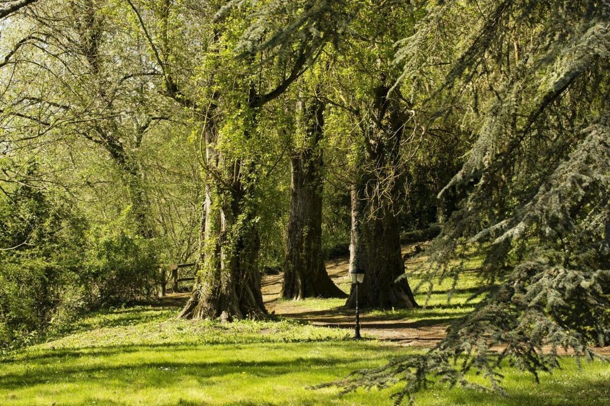 Chateau Laroche-Ploquin Sepmes Esterno foto
